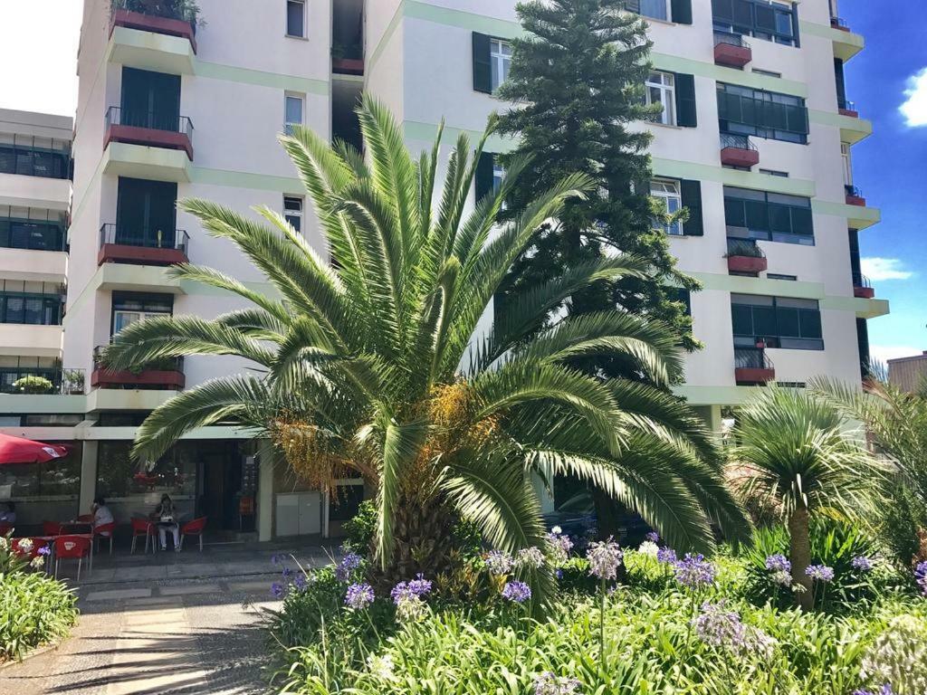 Funchal Apartament Marina View With Parking Free Eksteriør billede